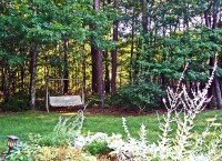 /album/photogallery/swing-jpg1/