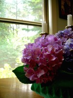 /album/photogallery/dscn2455-jpg/