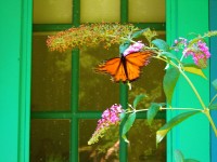 /album/photogallery/dscn2523-jpg/